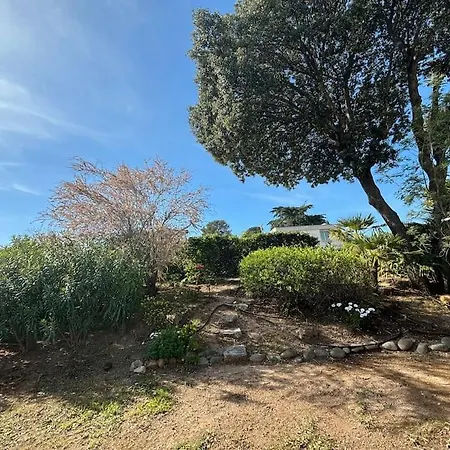 La Passiflore Saint-Raphaël